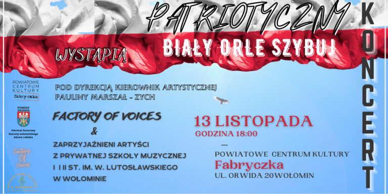 plakat koncertu