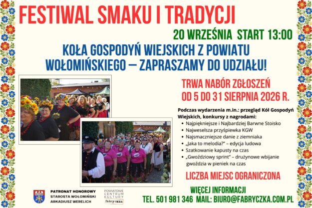 Czerwony i różowy plakat tradycyjny Festiwal Folkloru (Twoja relacja)